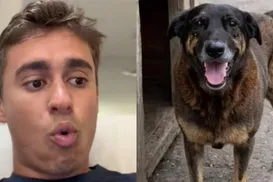 Cão Orelha: Nikolas usa caso para defender redução da maioridade penal - Imagem