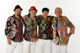 Carnaval ganha ensaio emocionante em homenagem a Aroldo Macedo - Imagem