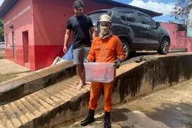 Cobra é resgatada dentro de carro na Bahia - Imagem