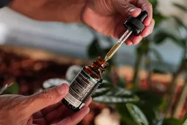 Cultivo de cannabis vai reduzir custo de medicamentos na Bahia - Imagem