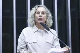 Deputada aciona Justiça contra proibição de cotas raciais - Imagem