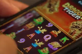 Do tigrinho ao vício: pesquisa revela lado sombrio das apostas - Imagem