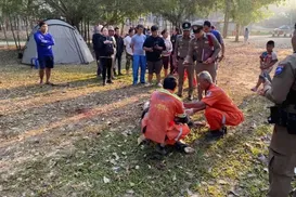 Elefante no cio pisoteia e mata três pessoas em parque na Tailândia - Imagem