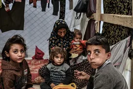 Exército de Israel revela número de palestinos mortos na Faixa de Gaza - Imagem