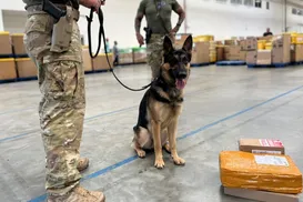 Homem é preso ao receber drogas e munição em encomenda dos Correios - Imagem