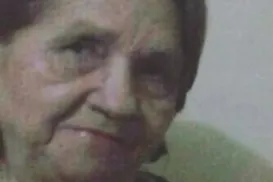 Idosa de 80 anos morre após ser atacada por cachorro dentro de casa - Imagem