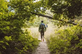 Jovem se perde em trilha após se distrair com rap - Imagem