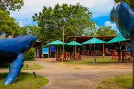 Livro e reggae no Espaço da Baleia - Imagem