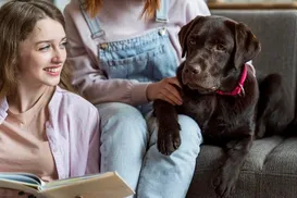 Nova lei permite enterro de pets em jazigos da família de tutores - Imagem