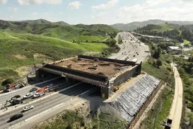 Ponte de R$ 100 milhões é construída só para onças, veados e cobras - Imagem