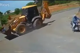 Trabalhador morre após ser atacado por abelhas na Bahia - Imagem