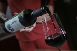 Vinho europeu com preço de nacional? Saiba como tratado histórico vai mexer no seu bolso - Imagem