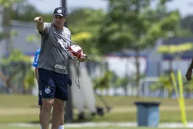 "Vocês vão ficar impressionados", diz Ceni sobre novo reforço do Bahia - Imagem