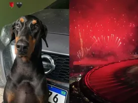 Cachorro de cantor morre durante final da Libertadores: “Ação irresponsável" - Imagem