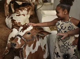 Corre que dá tempo! Fenagro 2025 tem último dia de gratuidade nesta quarta - Imagem