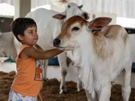 Domingão imperdível! Fenagro fecha edição com shows, animais, aventura e clima natalino - Imagem