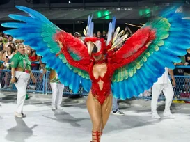 Ex-BBB anuncia saída de cargo em escola de samba - Imagem