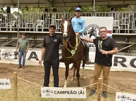 Fenagro 2025: jurados testam marcha e desempenho dos melhores mangalargas do país - Imagem