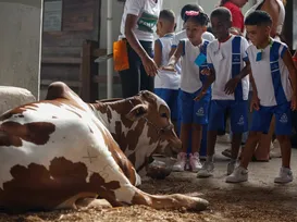 Fenagro revela novos “bichos influencers” que roubam a cena e os cliques - Imagem