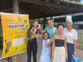 Gato encontra novo lar e se torna suporte emocional contra fibromialgia - Imagem