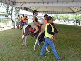 Pônei é um cavalo? Veja curiosidades sobre animal destaque da Fenagro - Imagem