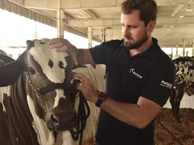 Profissão em alta: como trabalham os veterinários de animais do campo - Imagem