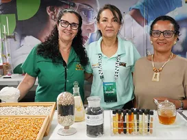 Qual é o melhor mel da Bahia? Concurso revela campeões de 2025 - Imagem