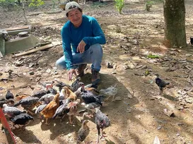 Adeus garimpo: Tecnologias agricolas são implantadas na terra Yanomami - Imagem