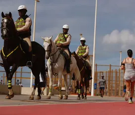 Cavalos vão reforçar segurança de Salvador ao longo do verão - Imagem