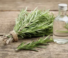 Truque caseiro de alecrim e vinagre promete turbinar a limpeza da casa - Imagem