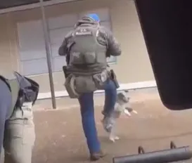 Agressão? Agente federal chuta cachorro durante abordagem policial - Imagem