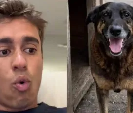 Cão Orelha: Nikolas usa caso para defender redução da maioridade penal - Imagem
