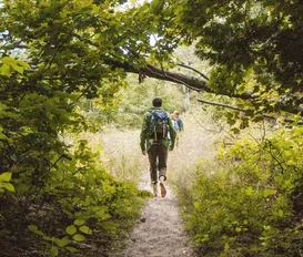 Jovem se perde em trilha após se distrair com rap - Imagem