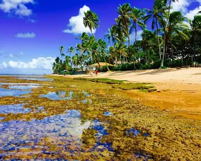 Bahia na lista: cinco destinos turísticos para curtir o Carnaval - Imagem