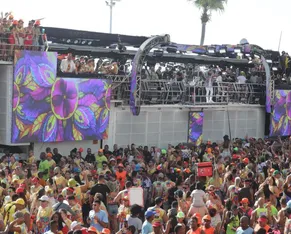 Camaleão faz releitura de 1ª mortalha em abadá de 2026; confira - Imagem