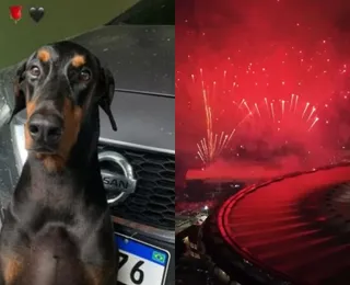 Cachorro de cantor morre durante final da Libertadores: “Ação irresponsável"