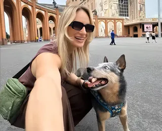 Cão sobrevive após acidente e não deixa tutora morta em rodovia