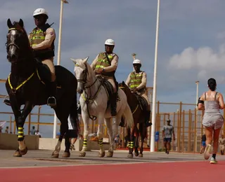 Cavalos vão reforçar segurança de Salvador ao longo do verão