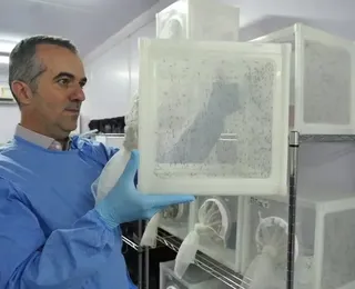 Cientista brasileiro que combate a dengue é destaque mundial em 2025