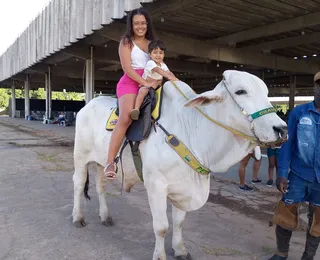 Crianças amam! Montaria em boi adestrado é destaque na Fenagro