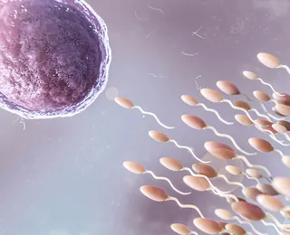 Doador de esperma com gene de câncer gera 197 filhos