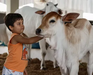 Domingão imperdível! Fenagro fecha edição com shows, animais, aventura e clima natalino