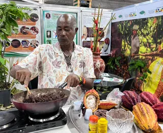 Eis o Nibis, o cacau caminhando para além do chocolate