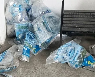 Fábrica de gelo na Bahia é interditada por produto sem procedência