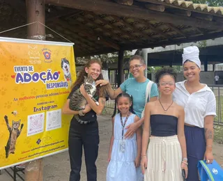 Gato encontra novo lar e se torna suporte emocional contra fibromialgia