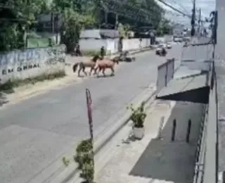 Homem é atropelado por cavalos em Feira de Santana