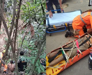 Homem sobrevive após cair em buraco e comer manga por 4 dias