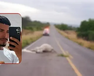Jovem colide com vaca e morre na BR-324; animal também não resistiu