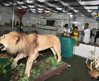 Leão, vísceras e ciência: museu mostra como são os animais por dentro
