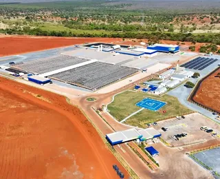 Macaúba: empresa árabe investe US$ 3 bilhões em biocombustíveis no Brasil